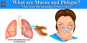 What are Mucus and Phlegm? Meaning of Snot Color