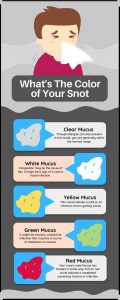 What are Mucus and Phlegm? Meaning of Snot Color