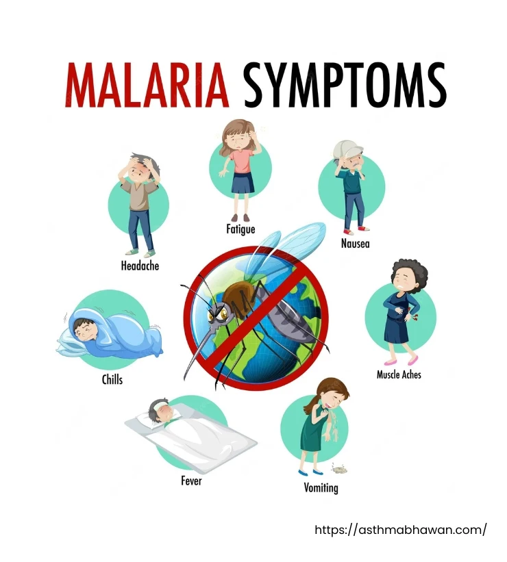 Symptoms of Malaria Disease
